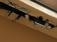 Rotten Beam
