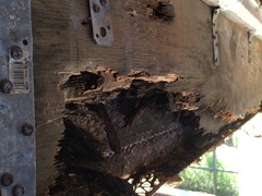 Severely Rotted Support Beam