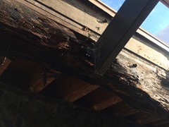 Severely Rotted Support Beam