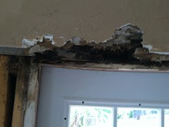 Extreme Water Damage
