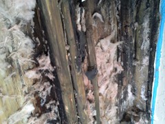 Water Damage to Wall Framing and Sheathing
